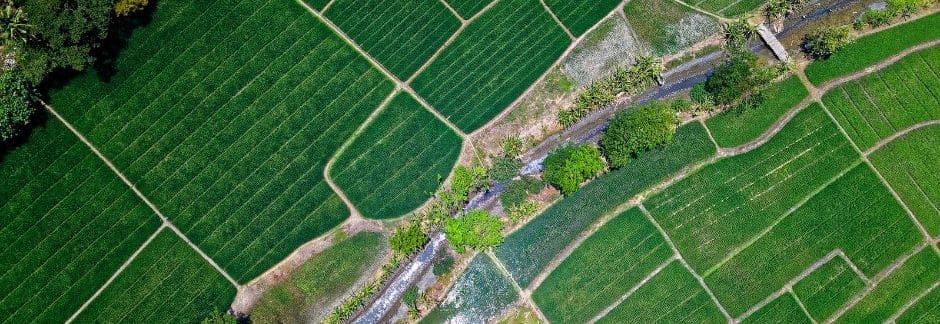 VITALIS CONSULTING’S ROLE IN ADVANCING AGRICULTURAL INFRASTRUCTURE
