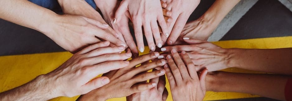 19 YEARS OF BUILDING TRUST — VITALIS CONSULTING